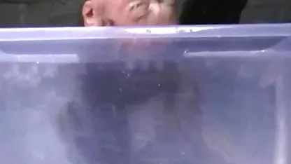 Любителя можна трахкати перед камерою під час Різдвяного кастингу