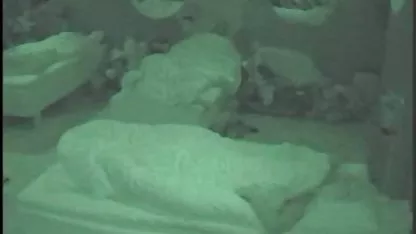 Алексіс Техас демонструє свою мрію попкою в чистому платті