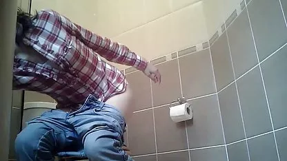 Молодий осел потребує навантаження диплом