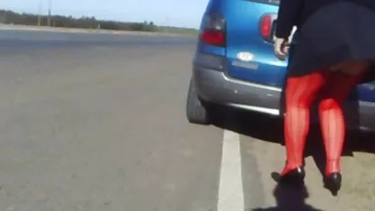 Два рогові шутки поділяють півень